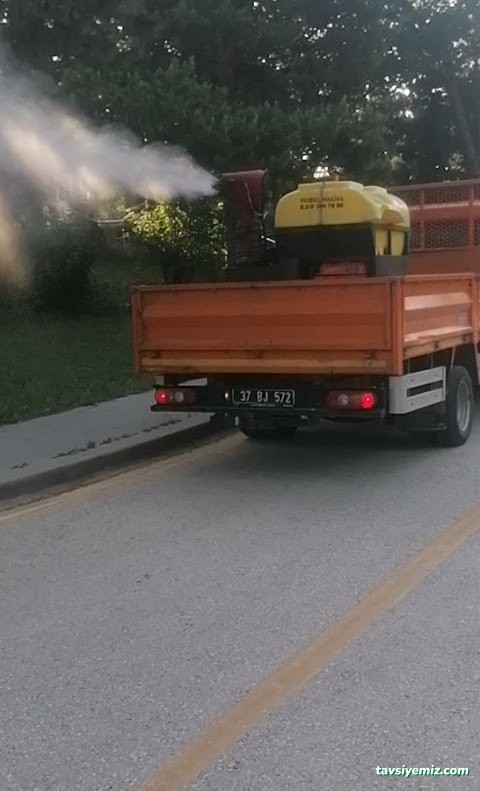 Üçgen Haşere Kontrol Servisi