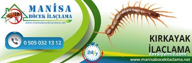 Manisa Böcek İlaçlama