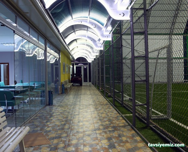 Çamlık Halı Saha Amasya