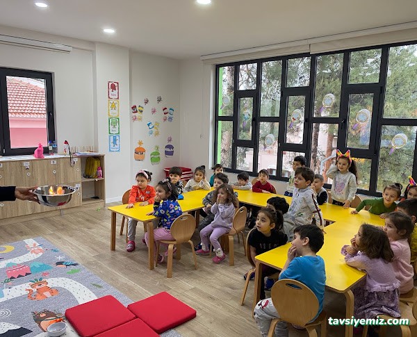 Rengarenk Kreş Ve Anaokulu