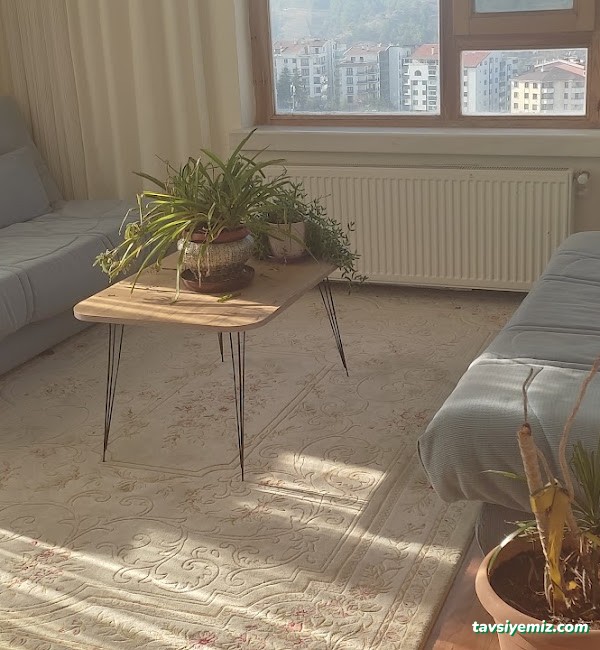 Prof. Dr. Ayşe Çarlıoğlu - Endokrinoloji Ve Metabolizma Hastalıkları Uzmanı - İç Hastalıkları Uzmanı