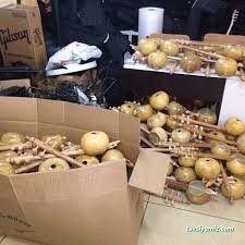 Şahinler Müzik Market