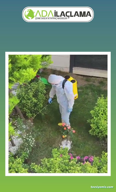 Ada İlaçlama Hizmetleri Ve Böcek Market