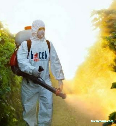 Sakarya Haşere İlaçlama | Sakarya Karınca Böcek Haşere İlaçlama
