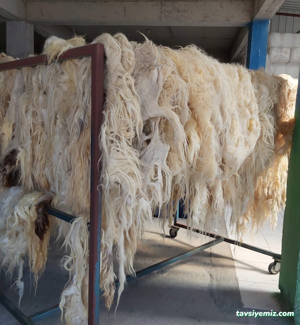 Kahramanmaraş Köpük Halı Yıkama