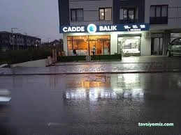 Cadde Balık Düzce