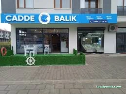 Cadde Balık Düzce