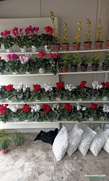 Çağdaş Mermer Mezar,Çeşme,Anıt Tasarım & Uygulama