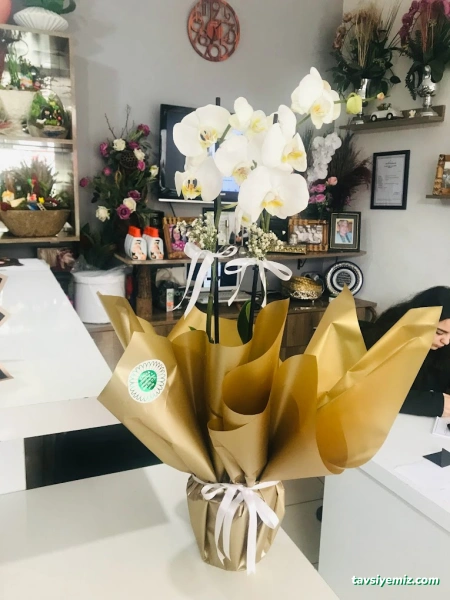 Çağla Çiçekçilik