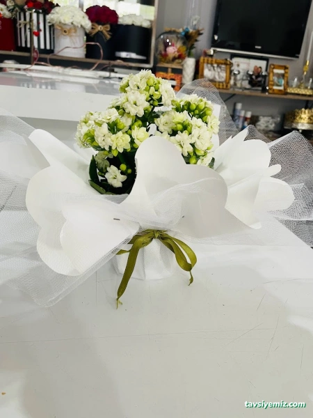 Çağla Çiçekçilik