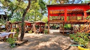 Çakırlar Sedir Gözleme /Çakırlar Antalya