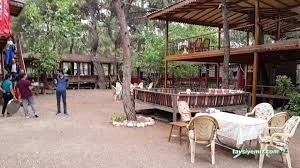 Çakırlar Sedir Gözleme /Çakırlar Antalya