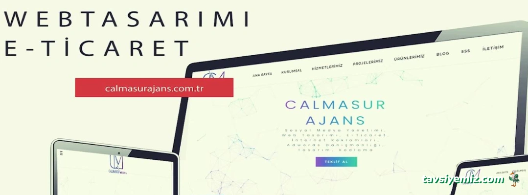 Calmasur Medya Erzurum Web Tasarım