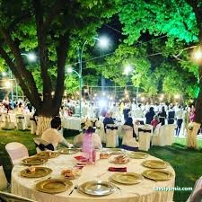 Çam Kır Düğünü