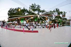 Çam Kır Düğünü