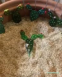 Camla Dans Hediyelik Eşya Dükkanı