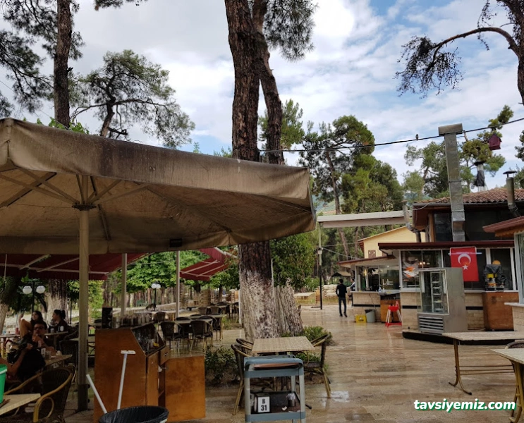 Çamlık Çay Bahçesi / Hayat Kahvesi