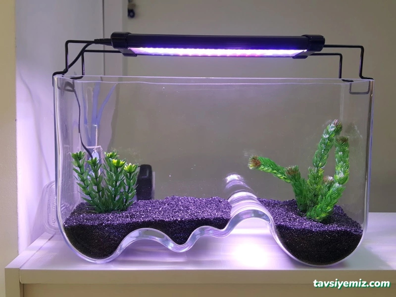 Can Akvaryum Pet Store Pet Kuaför Alo Mama Hattı