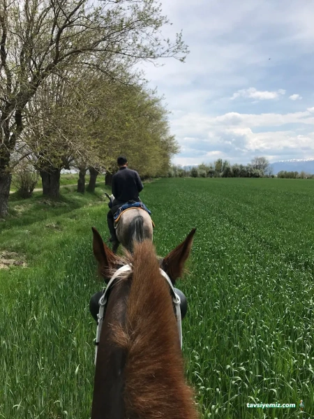 Can Erzincan Atlı Spor Kulübü