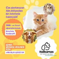 Çanakkale Halıkarnas Petshop