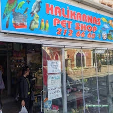 Çanakkale Halıkarnas Petshop