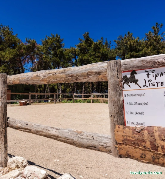 Çanakkale Paintball Park Çamlık