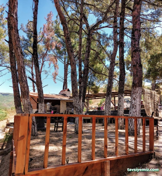 Çanakkale Paintball Park Çamlık