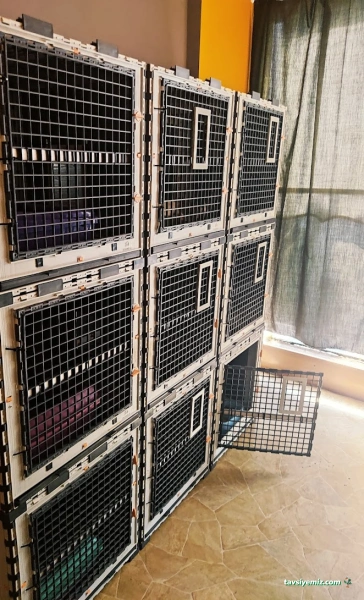 Canay-Vet Veteriner Kliniği