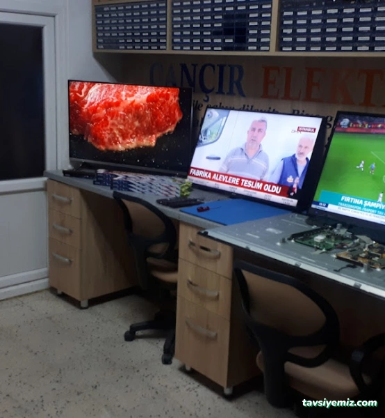 Çançır Elektronik