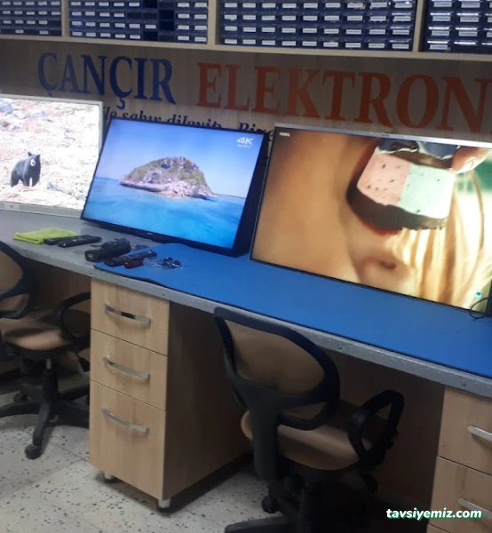 Çançır Elektronik