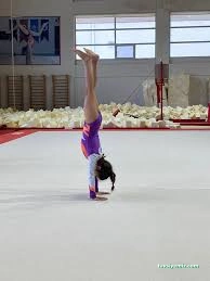 Canik Cimnastik Salonu