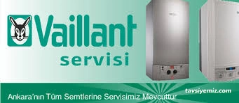 Çankaya Vaillant Kombi Servisi Vaillant