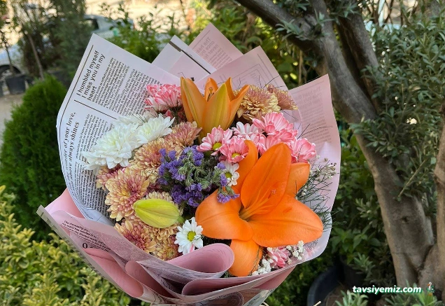 Çankırı Botanik Çiçek