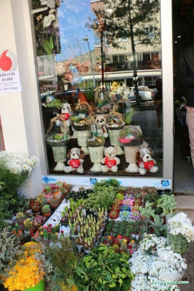 Çankırı Kardelen Çiçekçilik