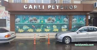 Canlı Petshop