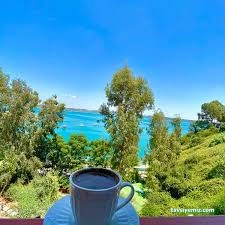 Çardak Cafe & Nargile