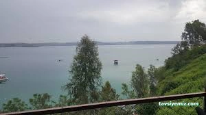 Çardak Cafe & Nargile