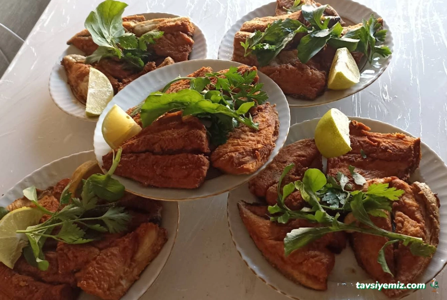 Çatalsu Et-Balık Restaurant