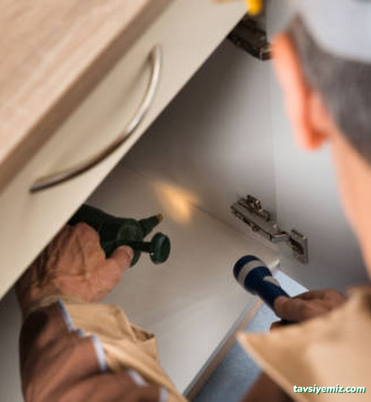 Pest Life Böcek İlaç Ve İlaçlama