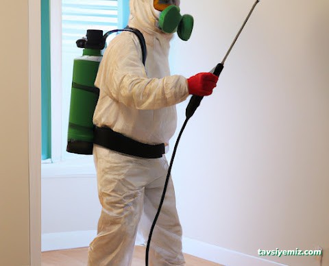 Büyükşehir İlaçlama