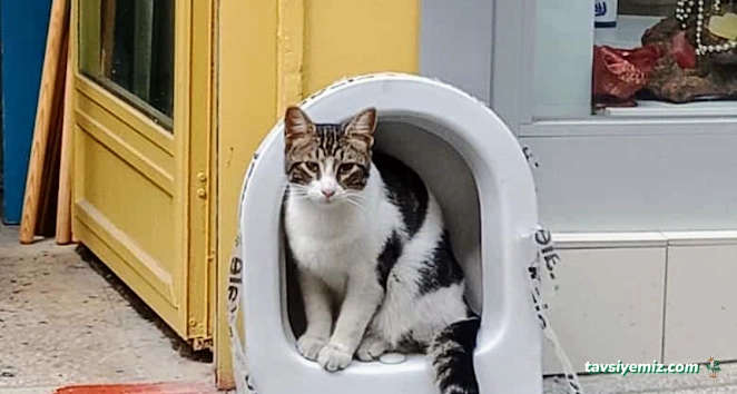 Cem Yapı Nalbur & Hırdavat