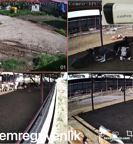 Cemre Bilgisayar Ve Güvenlik Sistemleri