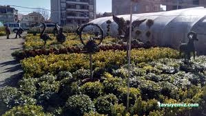 Cemre Çiçekçilik Ve Fidancılık