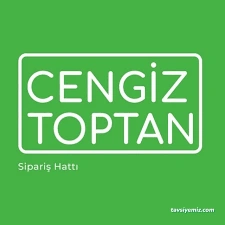 Cengiz Toptan