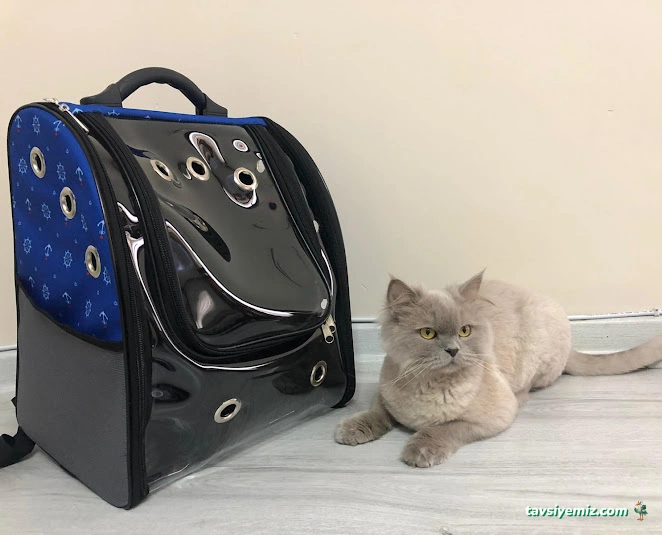 Central Animal Üçkuyular Veteriner Polikliniği