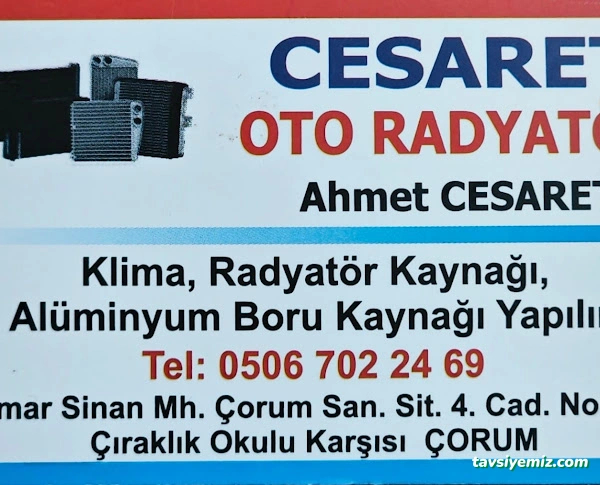 Cesaret Oto Radyatör