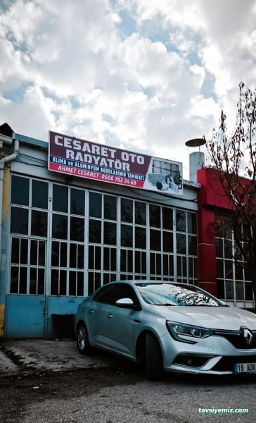 Cesaret Oto Radyatör