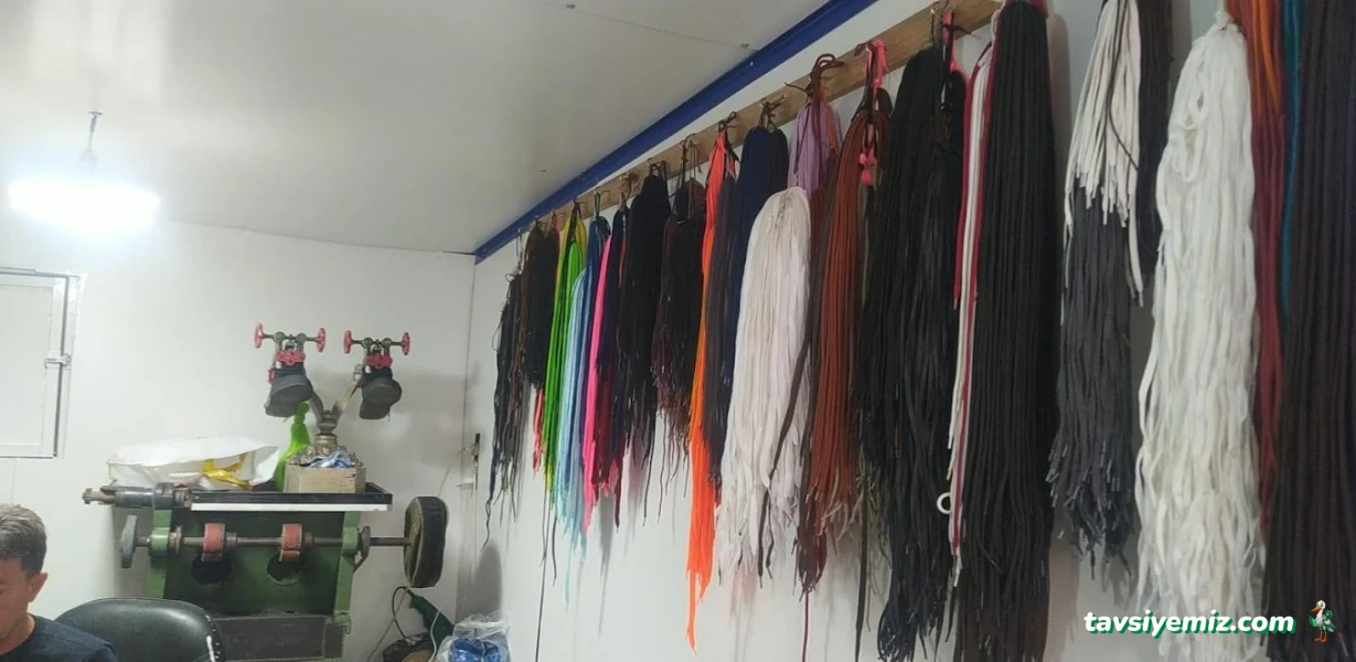 Cesur Ayakkabı Tamir Evi