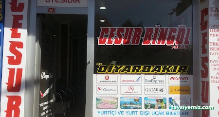 Cesur Bingöl