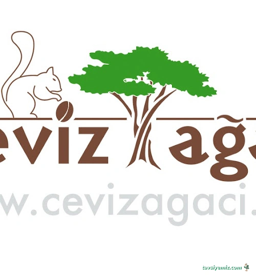 Ceviz Ağacı